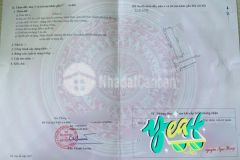 Giá 2x triệum2 mặt đường thượng đức đồ sơn hải phòng. 117m2