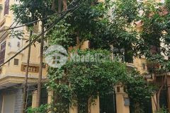 Bán nhà ngõ 409 kim mã, ba đình, biệt thự sân vườn, ô tô tránh 112m2 mt 6.5m 15.2 tỷ