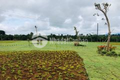 Bán gấp lô đất nền nghỉ dưỡng bảo lộc view đồi săn mây full thổ cư lh 0352828805