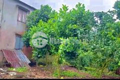 Nhanh tay đem về cho mình một lô đất vườn đẹp 1000m2 mà giá cực sốc chỉ 660triệu