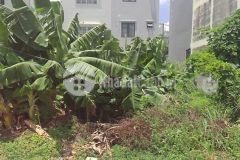 Đất thổ 82m2 gần chợ qui đức, kdc đông đúc