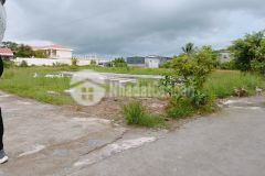 Vài trăm triệu có ngay 52m2 đất hợp đức đồ sơn hải phòng