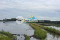 Đất đang trồng lúa tại xã vĩnh thuận, huyện vĩnh hưng, long an thích hợp làm nhà yến hoặc canh tác