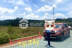 Cần tiền trả nợ banh bóng bán gấp 250m2 đất giá 370 triệu sổ riêng