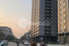 Đất phân lô khu 31ha trâu quỳ, gia lâm, 90m, rộng 6m, đường 16m