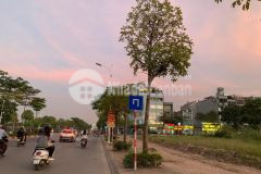 Bán đất phố cổ linh, vỉa hè, kinh doanh 85m2 mt 4.5m chỉ 19.9 tỷ