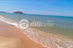 Vườn điều, có ao đẹp 300m2, trồng rau, nuôi cá, farmstay sổ hồng riêng giá quá rẻ.lh tôi ạ