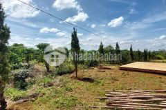 Đất thổ cư cho cặp đôi trẻ xây nhà