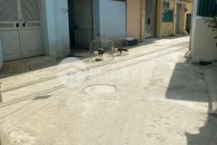 Gấp kiến hưng, hđ, nhà đẹp dân xây ô tô đỗ cổng 2 thoáng 41m23tmt3,8m nhỉnh 3tỷ