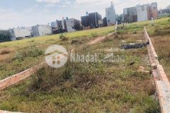 Đất dân cần bán. 1 nền duy nhất. giá chỉ 360tr. vĩnh lộc, bình chánh hcm