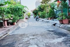 Tìm nhà đầu tư cá mập cho lô 550m2 trung dũng, đồ sơn, hải phòng