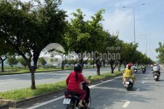 Ban đât 60m2 trong kdc dân tri cao, thich hơp xây ơ lâu dai, găp chu thương lương gia