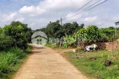 Anh không ngại việc mua đất bảo lộc, anh chỉ cần lý do thôi