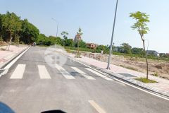 Cắt lỗ trước tết lô suối rồng đồ sơn hải phòng 144m2