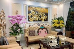 Bán nhà lê trọng tấn, hà đông 3,2 tỷ. hàng xóm park city. ô tô tránh. giao thông thuận lợi.