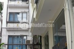 Trung tâm ba đình nhà đẹp như hoa hậu giá như hoa khôi 5tỷ2.