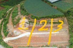 3 lô liên kê 500m2 view đep đương ô tô gia 1 ty 7 xuân tho đa lat