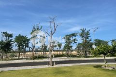 Bán 5 nền ngoại giao 500tr1 sở hữu ngay đất nền cận biển, trung tâm bình định