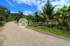 Bán vườn sầu riêng khánh thành khánh vĩnh giá rẻ