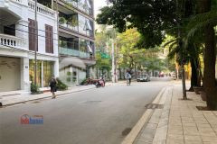 460 triệum2 mặt phố quảng khánh 165m2 mặt tiền 7m an sinh, kinh doanh đỉnh quận tây hồ