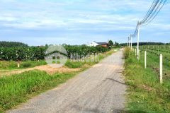 Kẹt tiền chủ bán miếng đất đẹp thổ 100 tp tây ninh