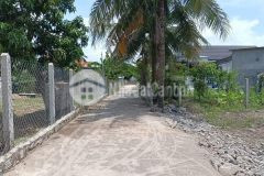 Bán đất diên sơn giá rẻ rộng rãi xây nhà vườn