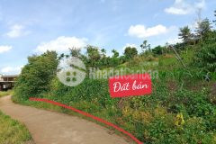 Đất tx buôn hồ,tc sẵn, mt 10m đường bê tông, view cánh đồng đẹp, cách nhựa 100m