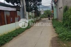 Ngộp ngân hàng hạ giá bán gấp quẹo lựa ạ