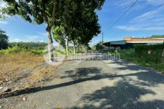 Bán gấp căn nhà vườn 935m2 có 28m2 thổ cư ở củ chi giá 2 tỷ 150.shr