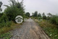 1công mặt tiền đường lộ ấp 7, tam hiệp,châu thành,tiền giang