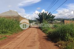 Chỉ 600tr có ngay lô đất đầu tư ở mặt tiền đường chính liên xã suối thông b, đạ ròn, đơn dương, lâm