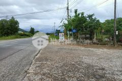 Đất thổ cư diên thọ đường mở rộng 20m nối ql27c chỉ 798triệu