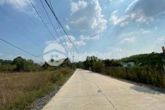 Cần bán miếng đất vườn 2967m2 ở củ chi giá 3 tỷ 950.shr