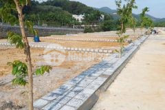 Cực hot bán cắt lỗ từ 340 triệu giảm xuống còn 250 triệu lô đất ont 120m2 bao sang tên.