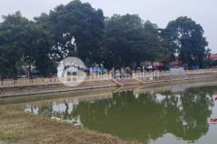 Cần bán đất 43,5m2 hương trầm thụy lâm đông anh giá rẻ chỉ 17,5trm2. 0886119248.