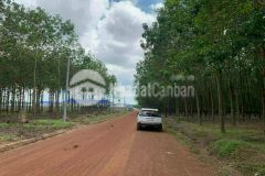 Do vở nợ nên bán lại 2 sào đất 2000m2 giá 450triệu