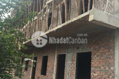 Chính chủ sát trục chính thôn 2 tân xã 68m 5mt nhỉnh tỷ tý