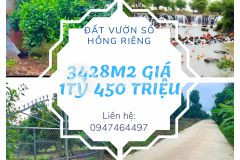 Siêu phẩm đất vườn ngọc định 3428m2, mặt tiền hơn 100m, giá cực sốc 1tỷ450 triệu