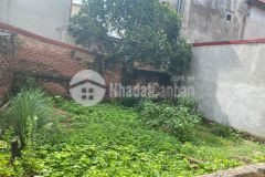 Đất tại trung tâm thị trấn trâu quỳ gia lâm, ngay giáp hv nông nghiệp.