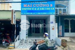 Cần bán căn nhà mặt tiền chợ 333 chiến lược,phường bình trị đông a quận bình tân tphcm