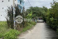 Đất ở bà điểm hóc môn 165m2 ngang bề thế 10m.