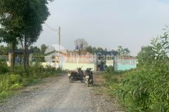 Cần bán gấp căn nhà vườn 1180m2 ở củ chi giá 1 tỷ 950.shr