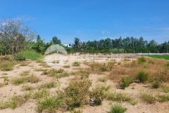 Bán 1872m2 đất sổ đỏ thổ cư xã mỹ thạnh thủ thừa. 3.2 tỷ. lh0988982408.