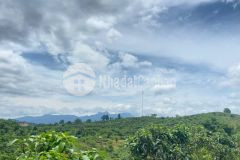 Bán đất chiềng sơn,mộc châu hướng đi cửa khẩu,4000m, có thổ cư