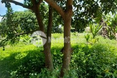 Đất nền giá rẻ ngay ka đô đơn dương lâm đồng