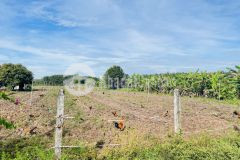 Còn miếng đất thổ cư giá rẻ sát nhựa 30m thành phố tây ninh