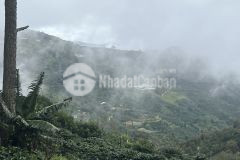 Đất săn mây gần đồi chè cầu đất đà lạt