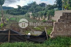 Đất mường sang,mộc châu,sơn la còn mảnh 580m có sổ đỏ