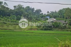 Giá sốc bán đất thu phong, cao phong, hòa bình 1,050m, chỉ 1.4 tỷ.