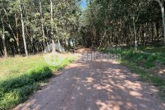 Chủ ngộp cần bán nhanh lô đất sát đường mỹ phước tân vạn 200m